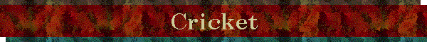 Cricket